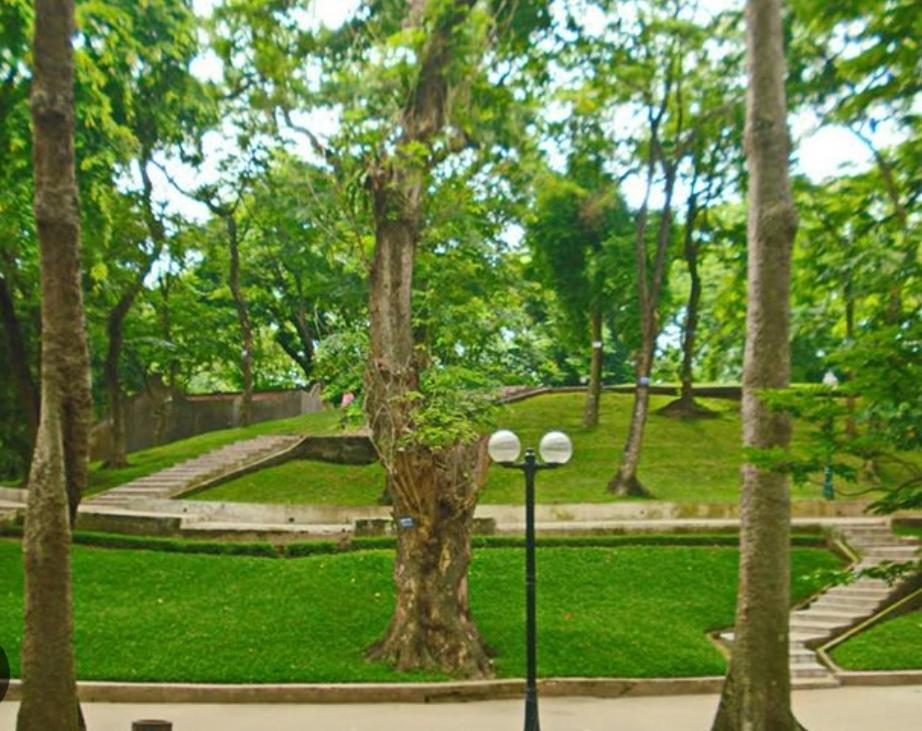 Da Tree Homestay Hanoi Exteriör bild