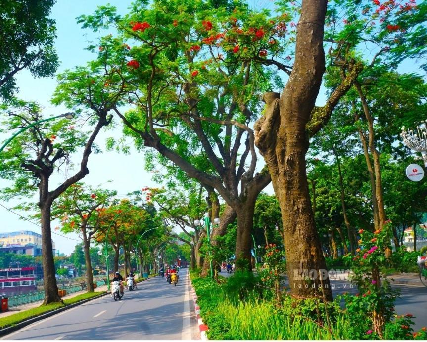 Da Tree Homestay Hanoi Exteriör bild